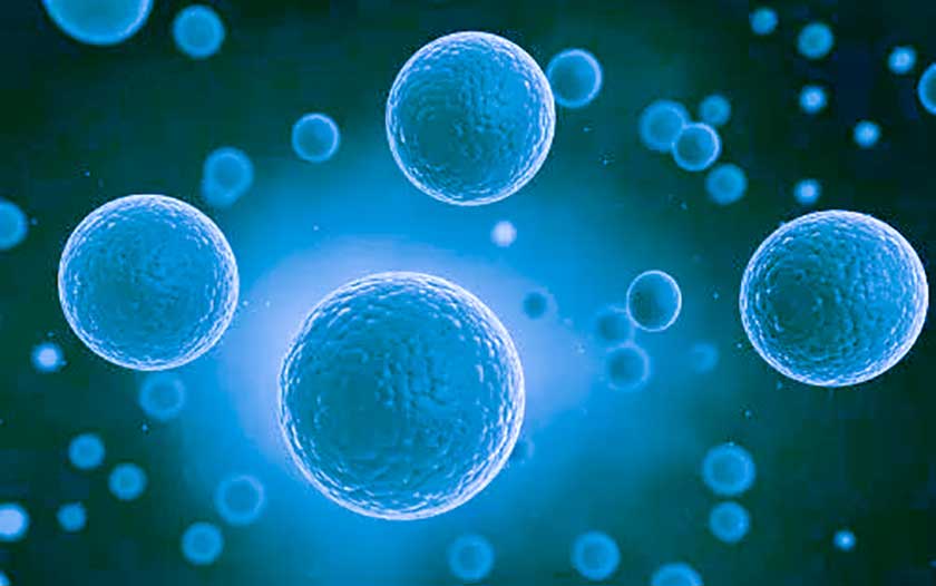 科技前沿!间充质干细胞疗法治疗慢性期脑卒中效果显著