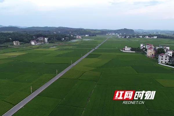 我和我的村庄东安县马坪村产业旺乡村兴农旅融合谋发展