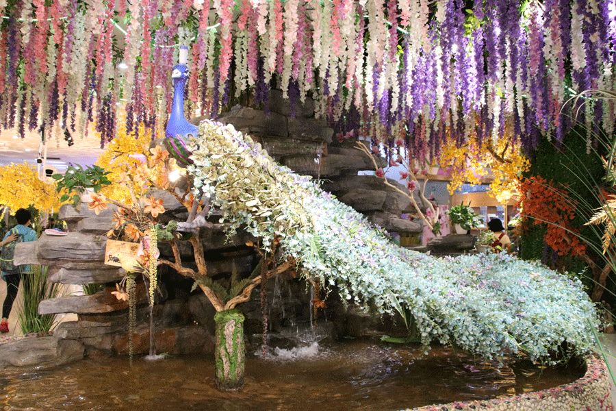 世界春城花都赴一场春暖花开之旅斗南逛花花世界享花花生活