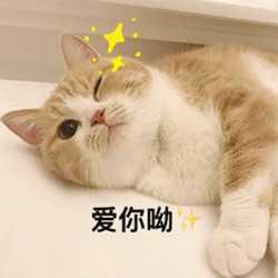 250_250gif 动态图 动图