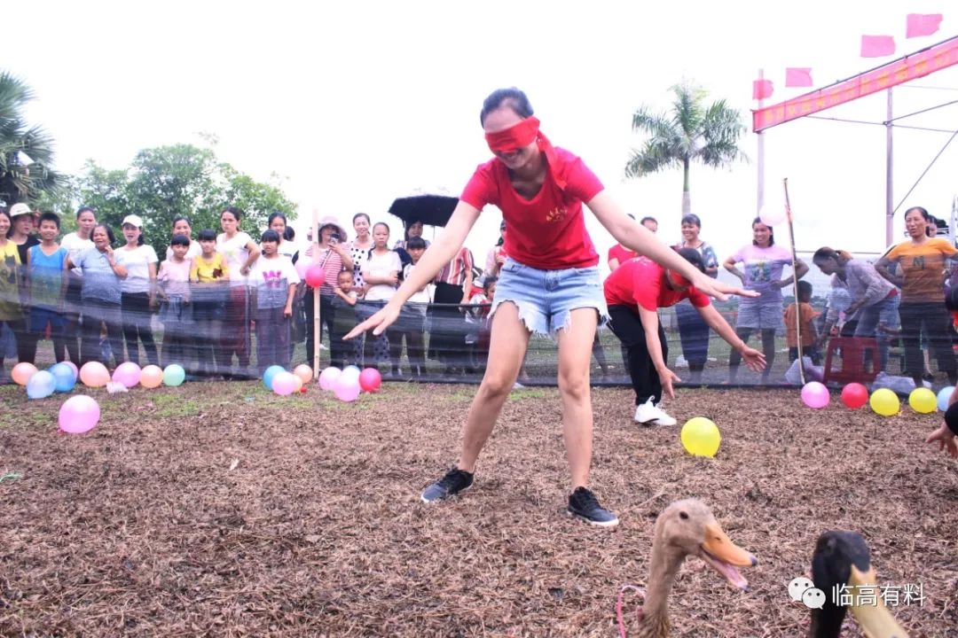 "抓鸭子"游戏要开始了参与游戏的美女们眼睛绑起来两只鸭子表示,"非常