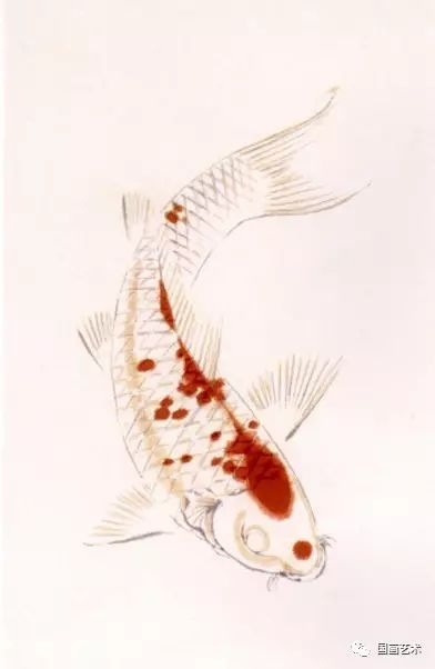 艺术课堂五色鲤鱼写意画法解析