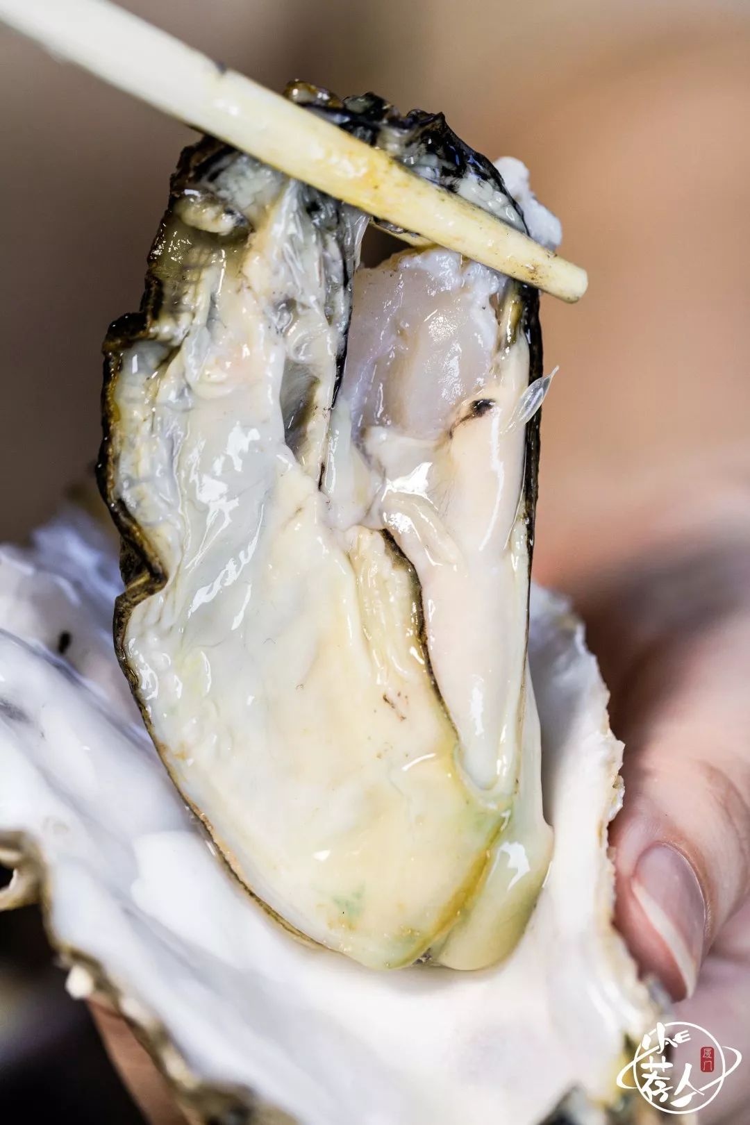 生蚝1元①个不限量爆料明发新晋夜宵神店女朋友一周带我来吃七次