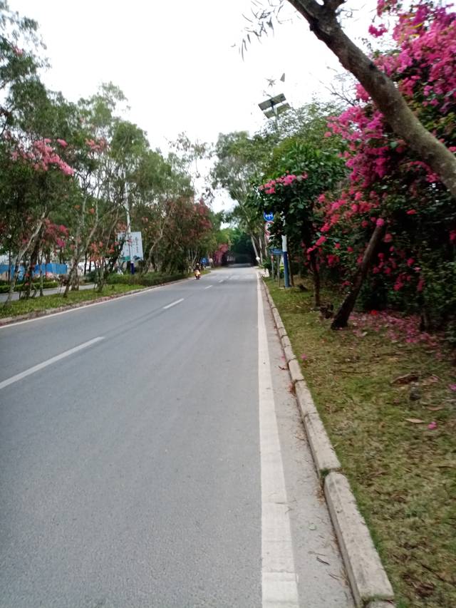 海南三亚万科森林度假公园街道风光