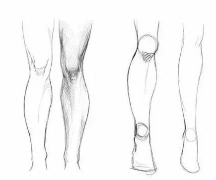 素描腿的画法图片