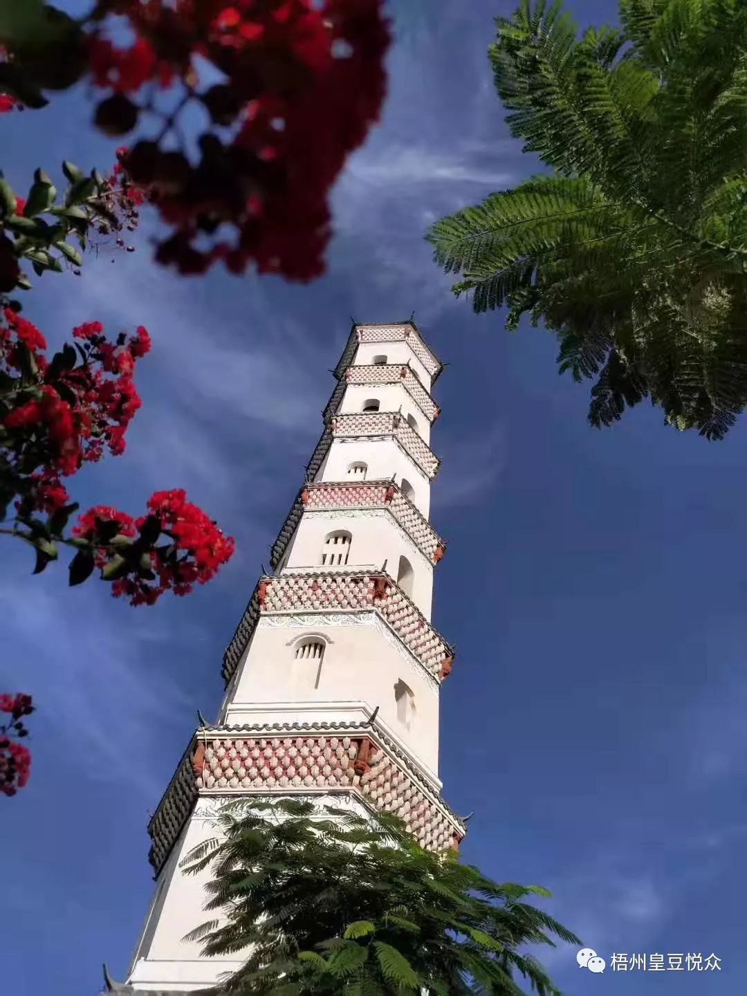 结合允升塔,炳蔚塔,圣文园,梧州市将打造一个集自然山野趣味为特色