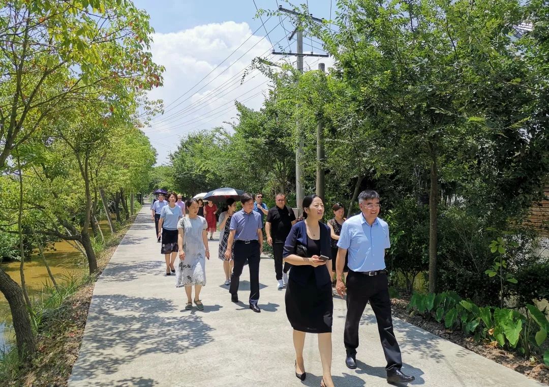 半淞园路街道与崇明陈家镇开展新一轮结对帮扶工作