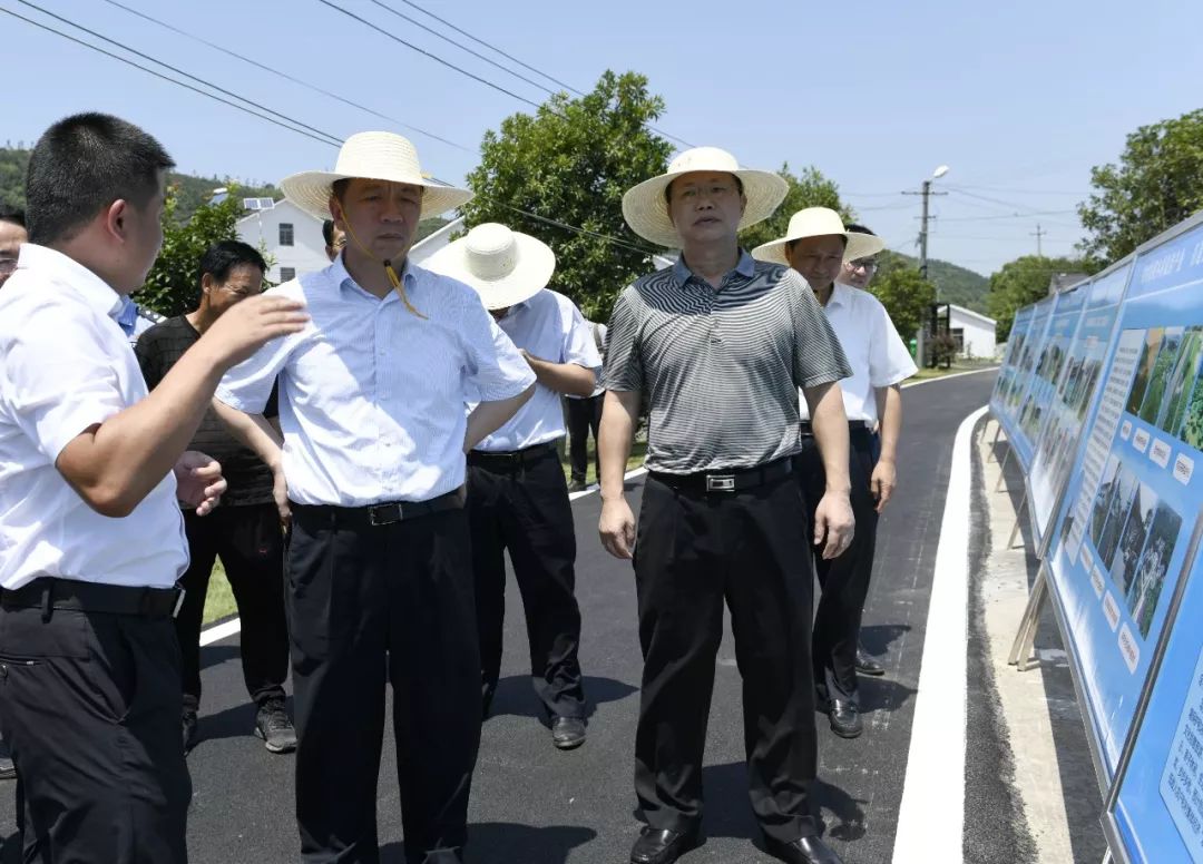 头条刘和生深入岳阳楼区调研大城市建设