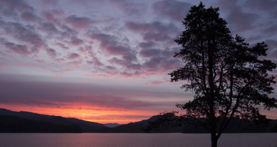 今年家电业没有大危机只有新转机-家电圈官网