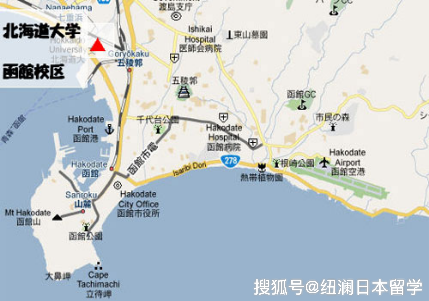 北海道大学以压倒性优势被选为"日本最美的大学校园".