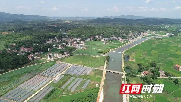 鸟瞰东安县鹿马桥镇马坪村从冷水滩赶来的游客陈先生一家在花丛中拍照