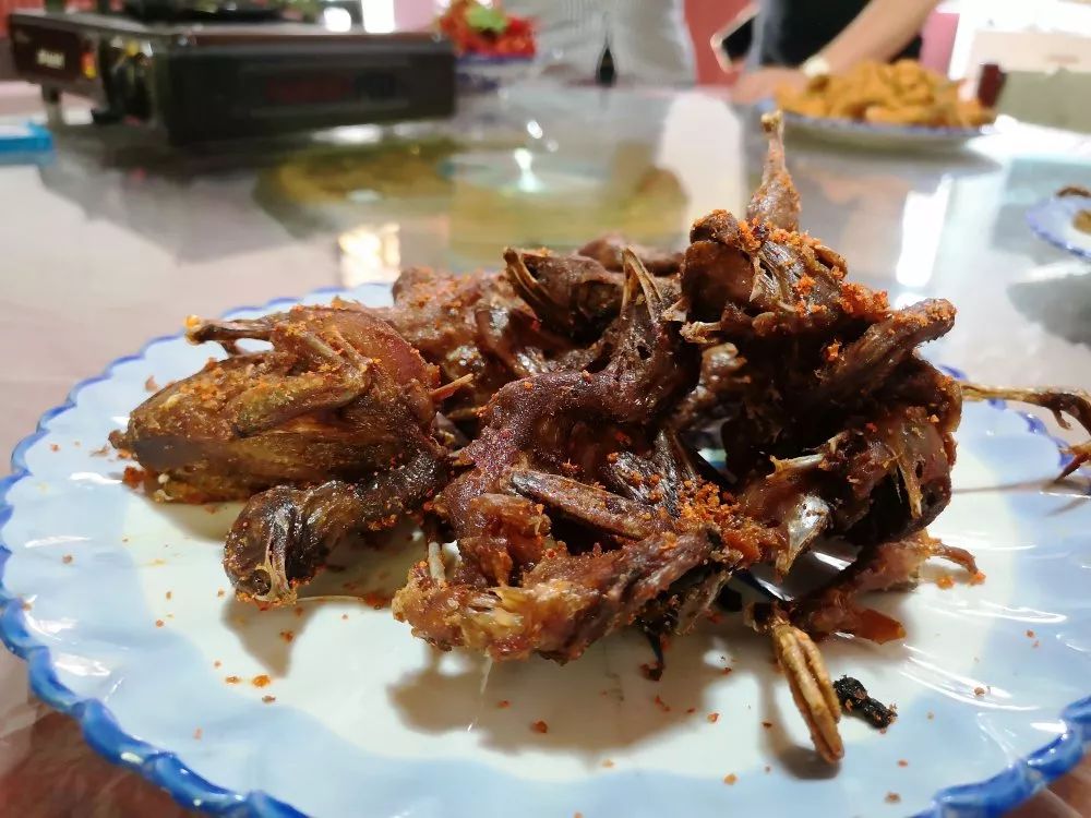 让珠珊该哒老表二十几年痴迷于它!_鹌鹑