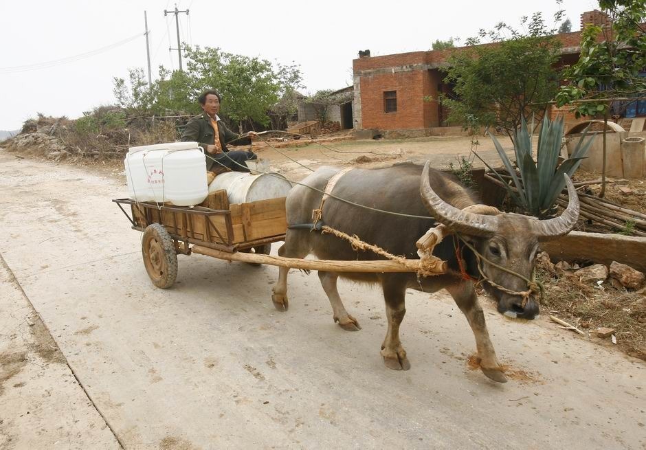 打仗就是拼后勤汉军为了北击匈奴组织起超乎想象的后勤准备