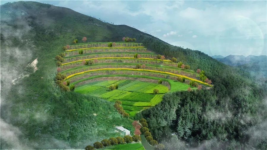 杜绝青山挂白洛江持续修复生态环境让水长绿山长青