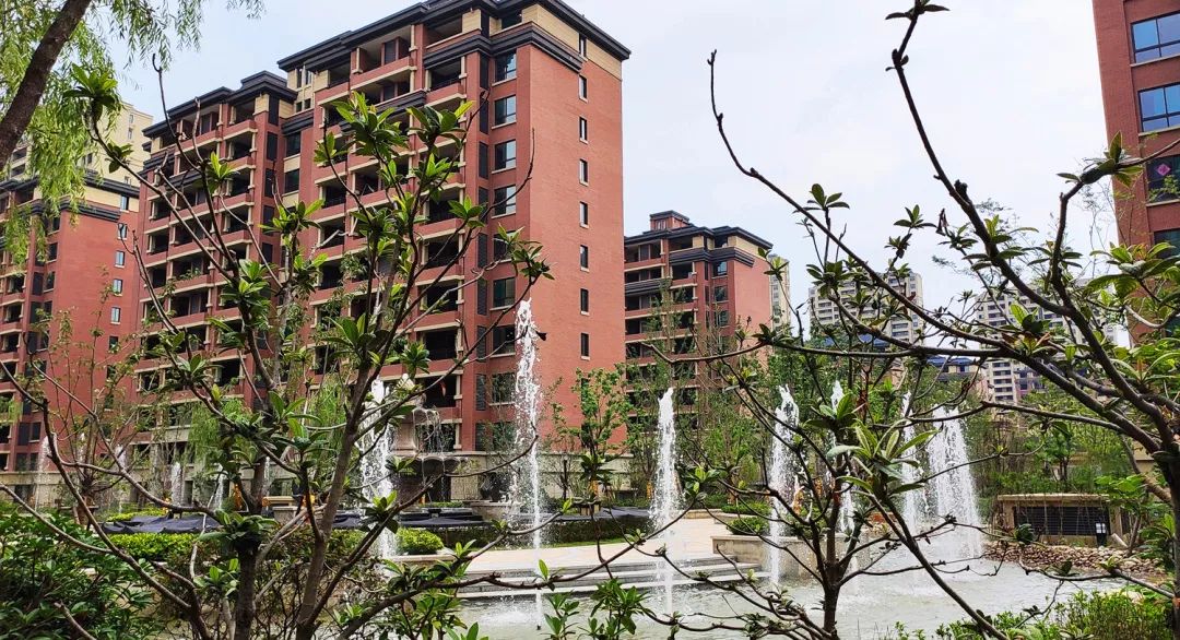 采风涡阳县互联网协会考察名邦学府一期2批次交房房源