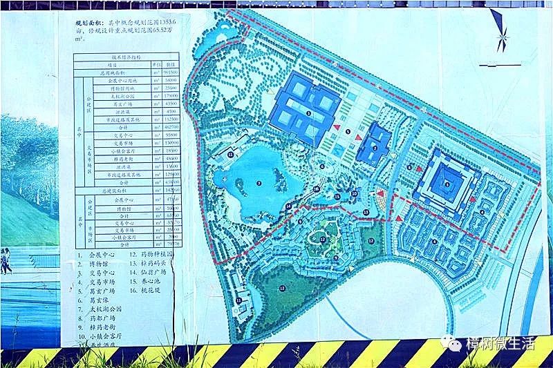 【多图 航拍】第50届樟树药交会召开地—岐黄小镇最新进展报道!