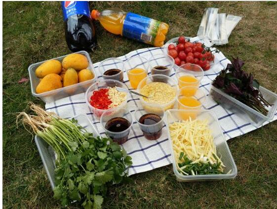 河北:8月1日起在张承草原野营野炊将遭处罚