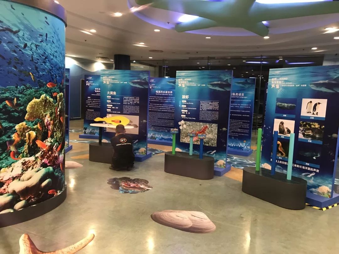 免费观展|炎炎夏日,快来聆听大海里的声音吧~_海洋