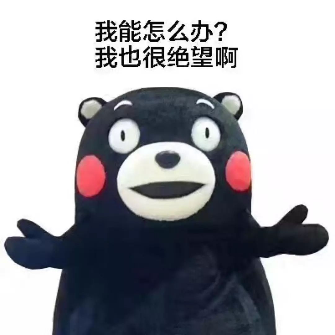 在哈工大上海招生组组长刘仁辉看来,严一粟选择哈工大并不该成为"新闻