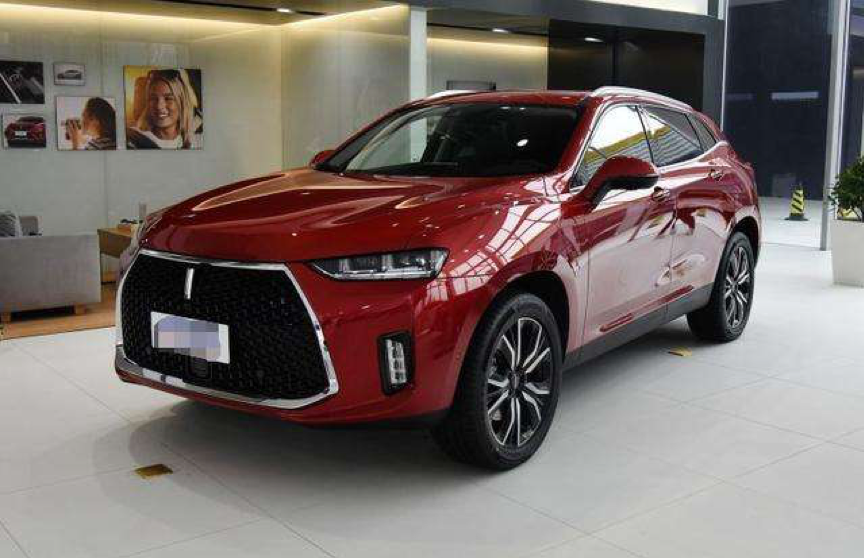 买车容易选车难魏派p8降4万销量惨淡车友降价还是买不起