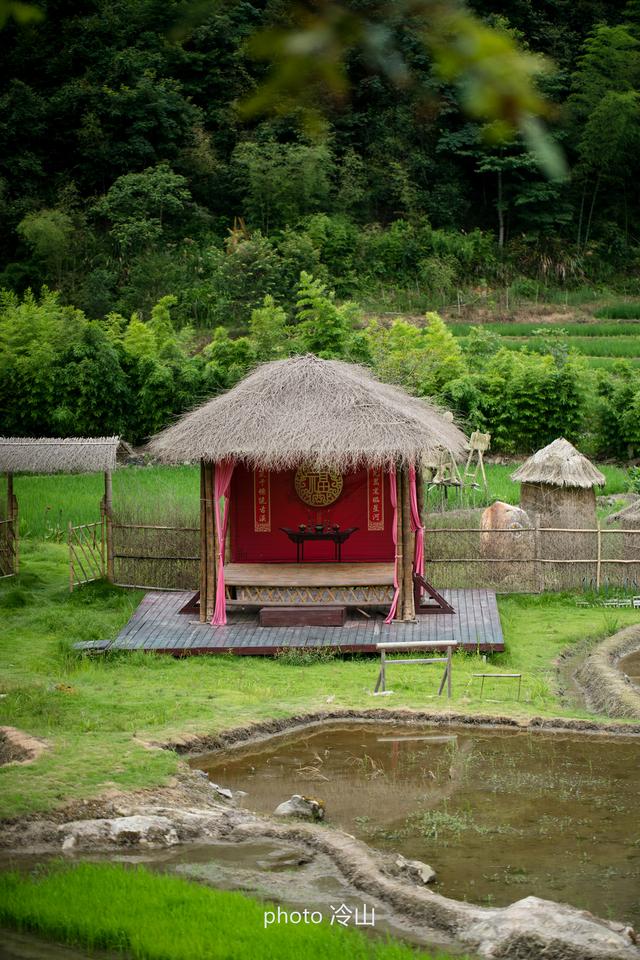 原创夏夜最美的精灵萤火虫曼舞古溪