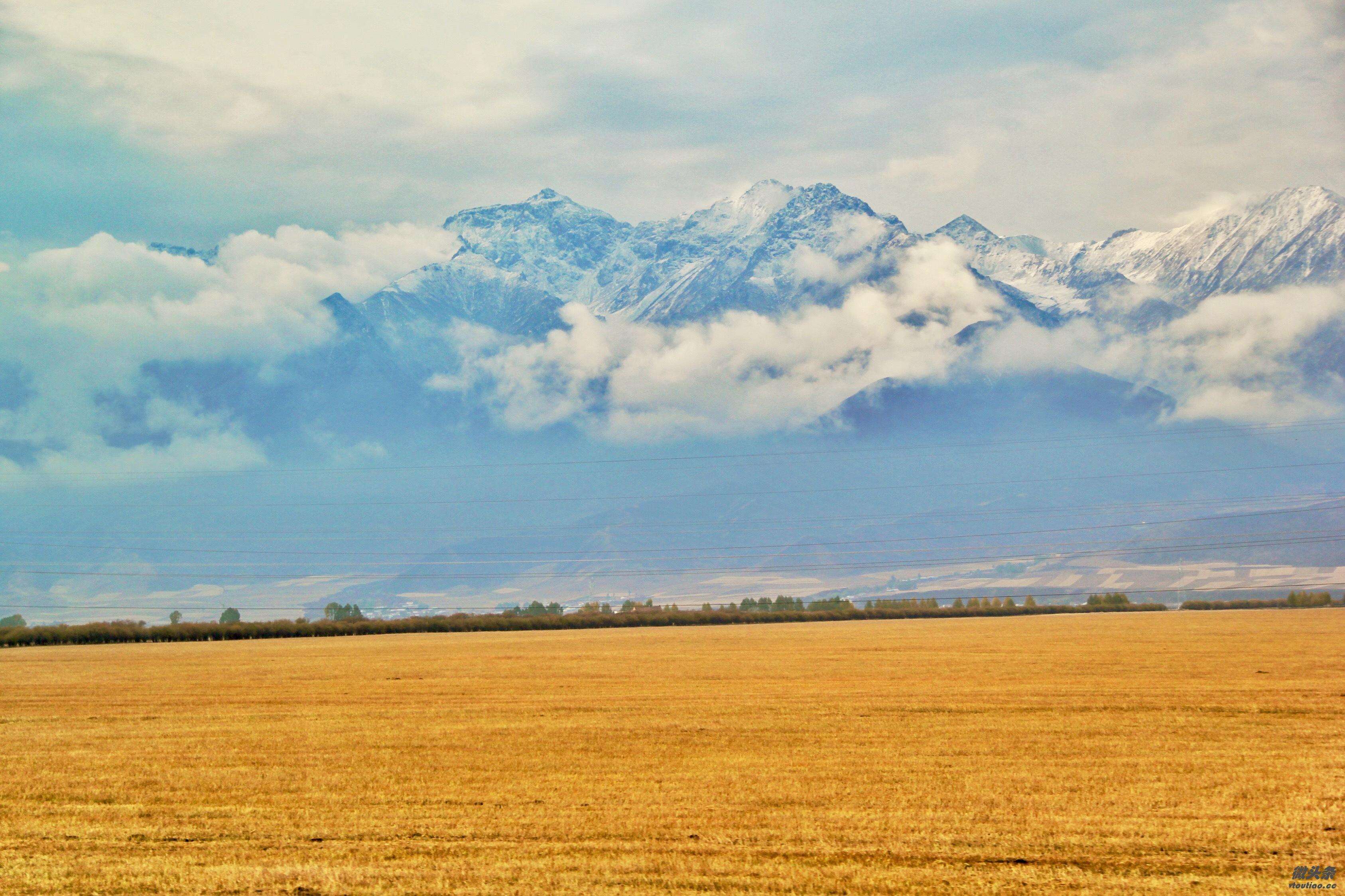 八月青海湖,油菜花下我们不见不散_大地