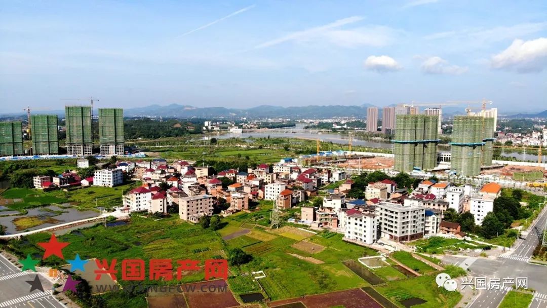 兴国坝南新区拟建一所九年一贯制学校建设规模说明正在公示