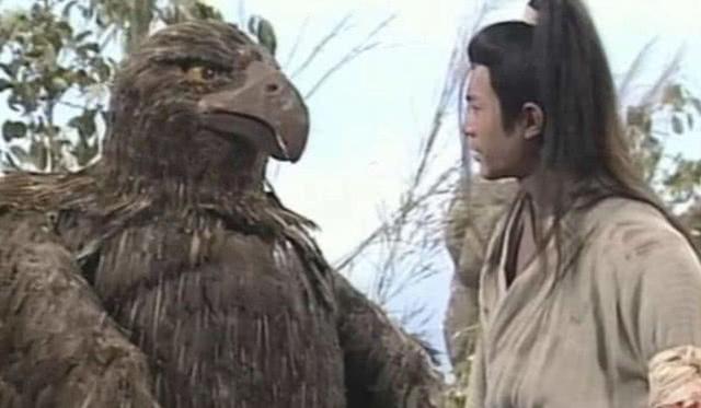 《神雕侠侣2》惊现纸牌玩法,比昆特牌更欢脱的雕牌了解一下_杨过