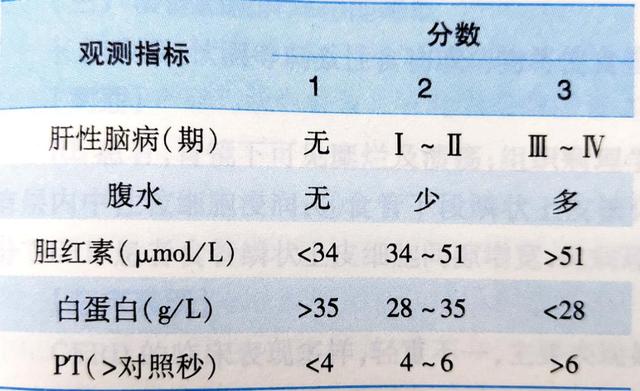 肝功能child分级图片