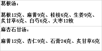 第四:麻杏石甘湯症---病人咳嗽不止,痰出黃粘,胃口尚好時,可以吃此方.