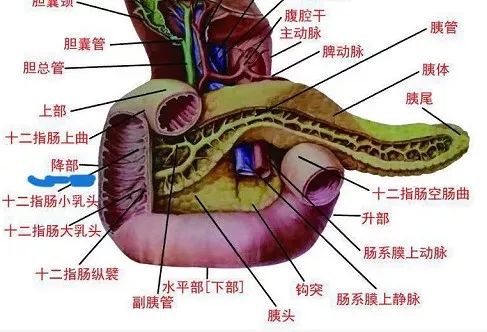 家人一不留神,东莞4岁男童肠子被砸断,到医院时已休克!