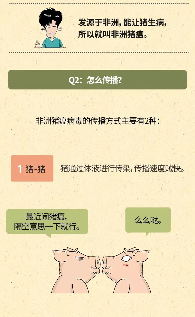 的非洲猪瘟直至近期,仍有各种关于猪肉安全的视频,在网络上肆意传播!