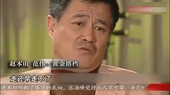 鲁豫有约:你从哪年不想上春晚了?赵本山的回答太实在了!