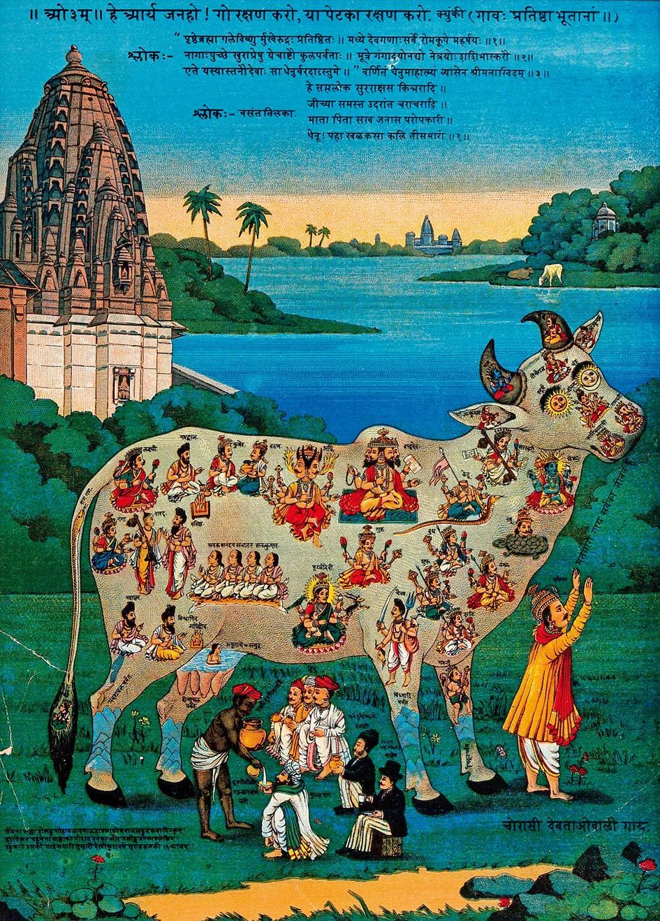 阿育吠陀医学古老智慧中的治愈之术