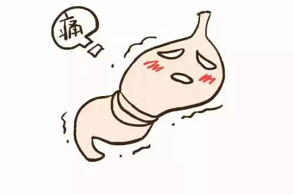 原创减肥也能吃肉,热量低又好吃还便宜,关键再也不用天天啃黄瓜啦!