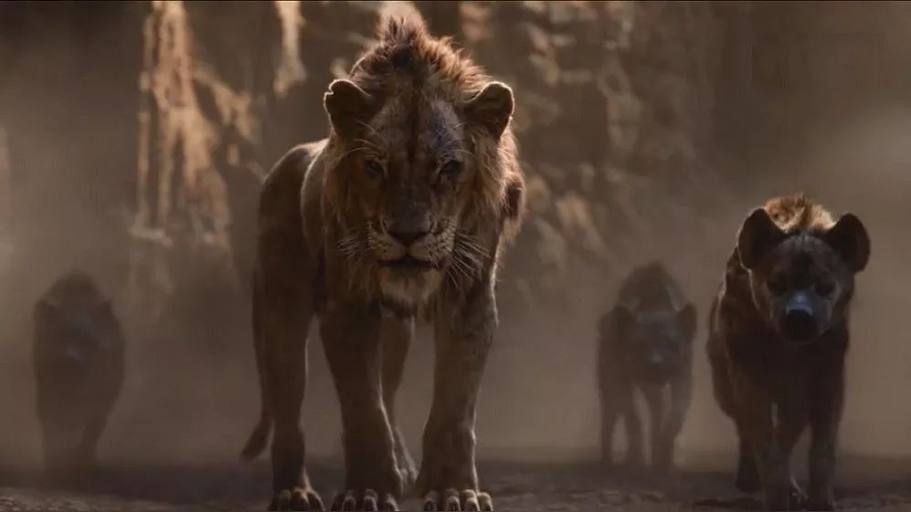 新版狮子王热映坠下万丈深渊你才会长大成年