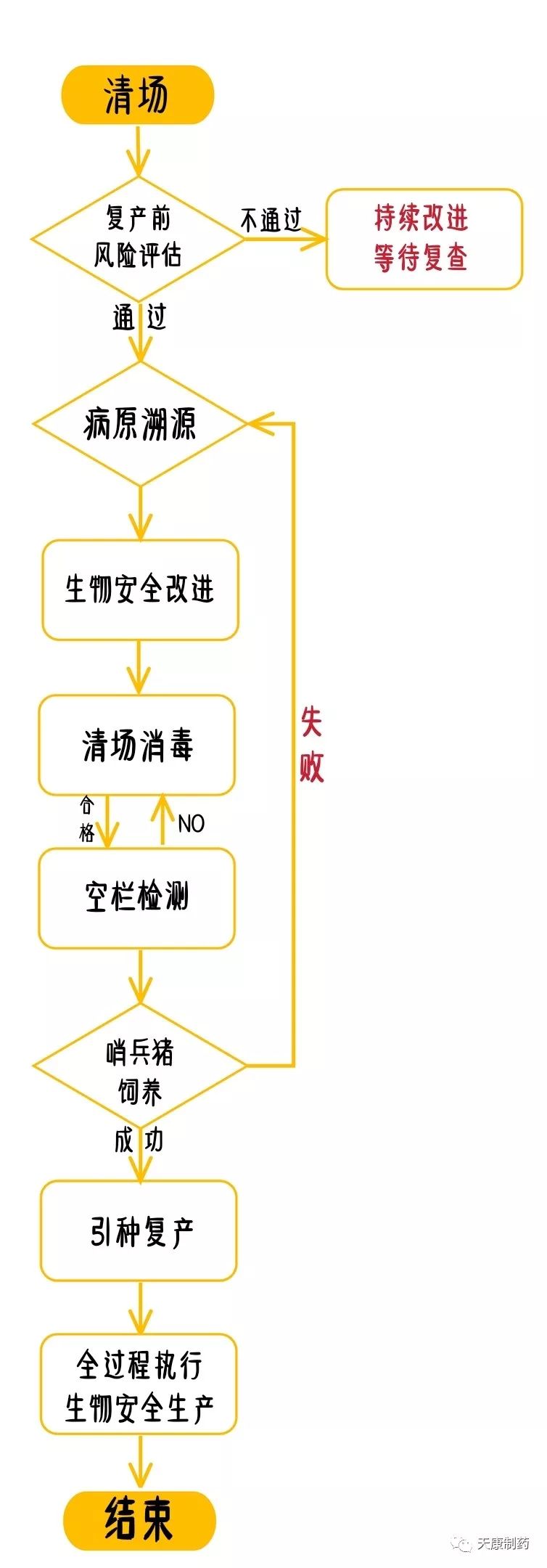 非洲猪瘟复产如何实施一图get安全复产全过程