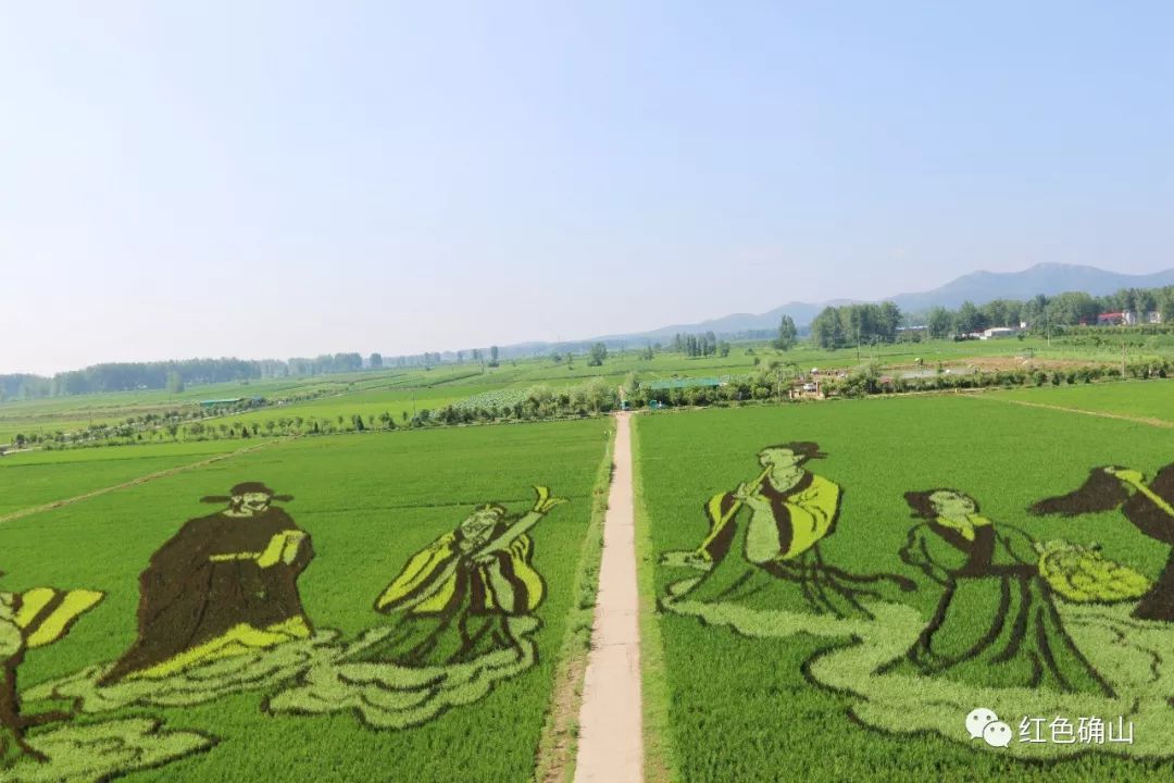 传播留庄稻田公园向您邀约