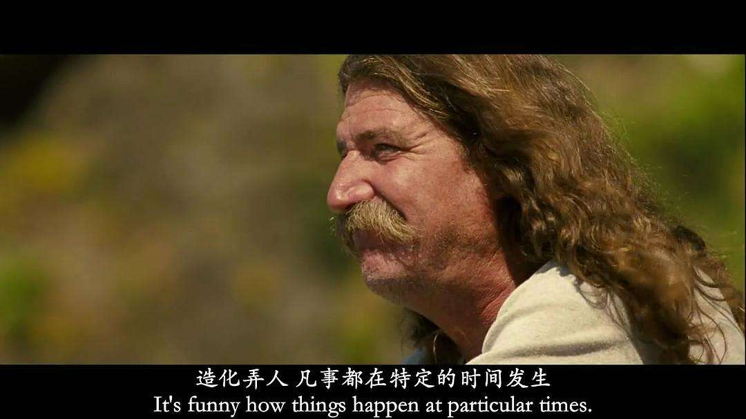荒野生存一个男人在荒野中寻找自我的故事