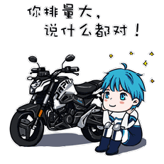 铃木摩托车表情包图片