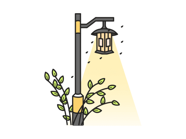 720盏路灯照亮盘龙脱贫攻坚路