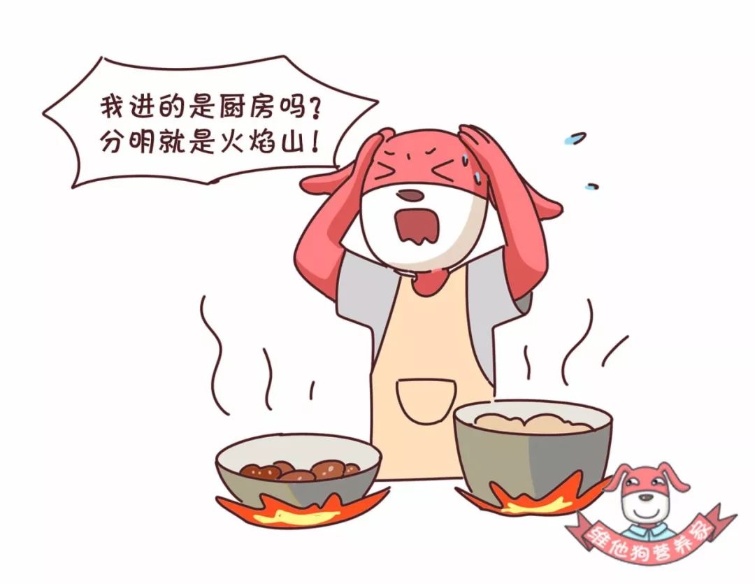 讨厌煮饭的卡通图片图片