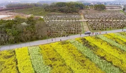 三分青山三分綠水三分靈壤這是大自然對江夏的厚賜