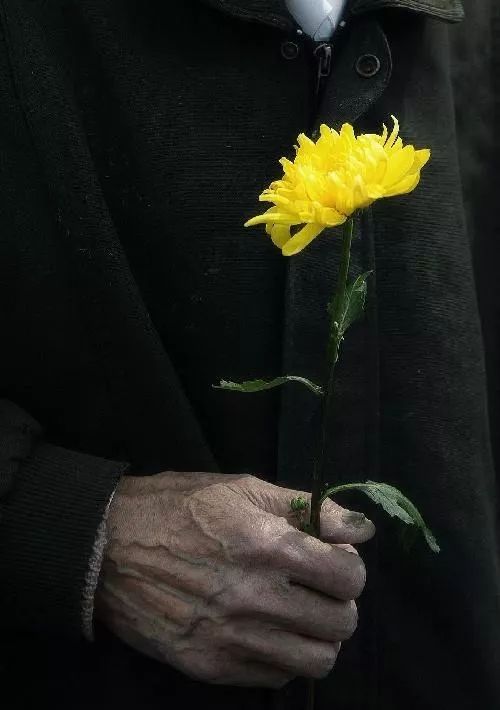 冉的哀悼 | 梁晓声_追悼会