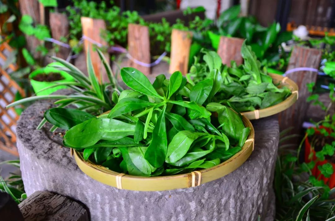 新奇丹棱这个角ge角ge头竟藏了一家生态野菜鱼捞馆好吃到不可思议