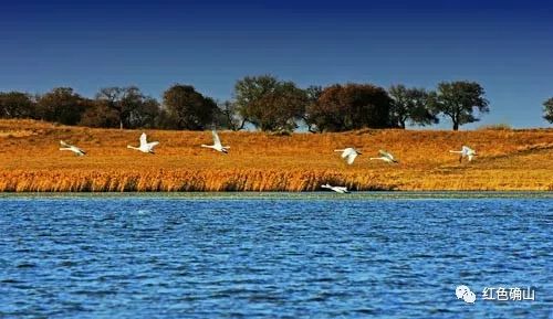 朗陵风臻头河确山的母亲河