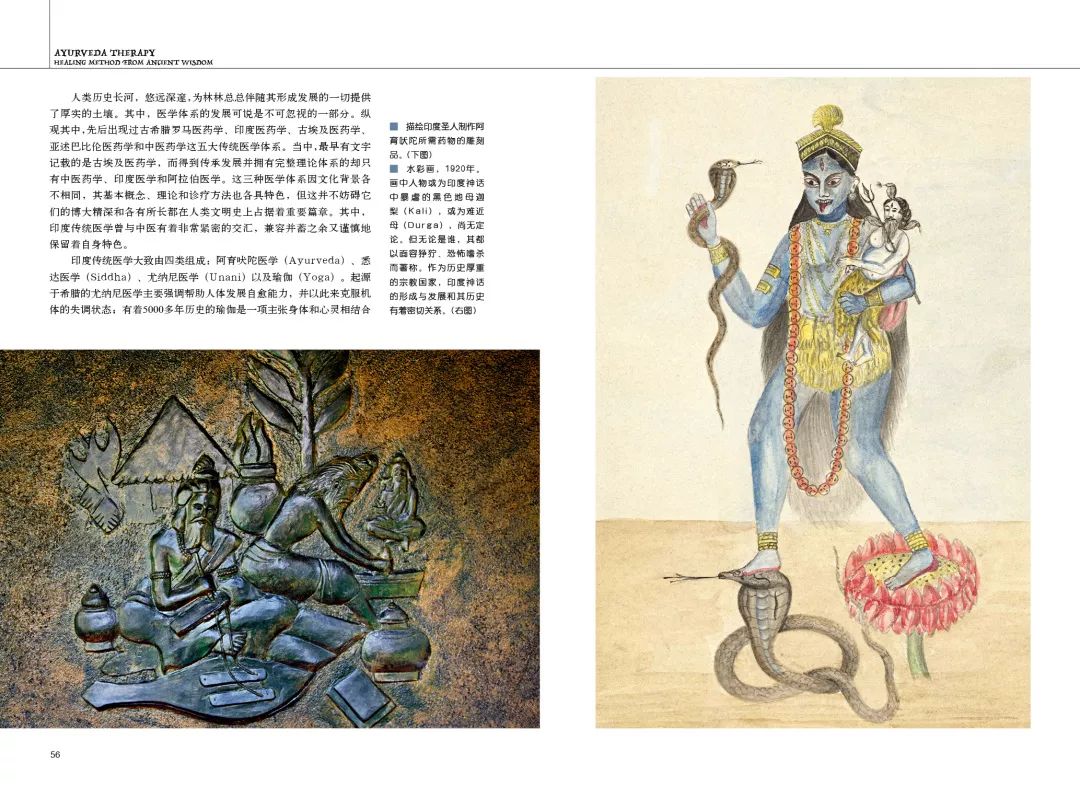 阿育吠陀医学古老智慧中的治愈之术