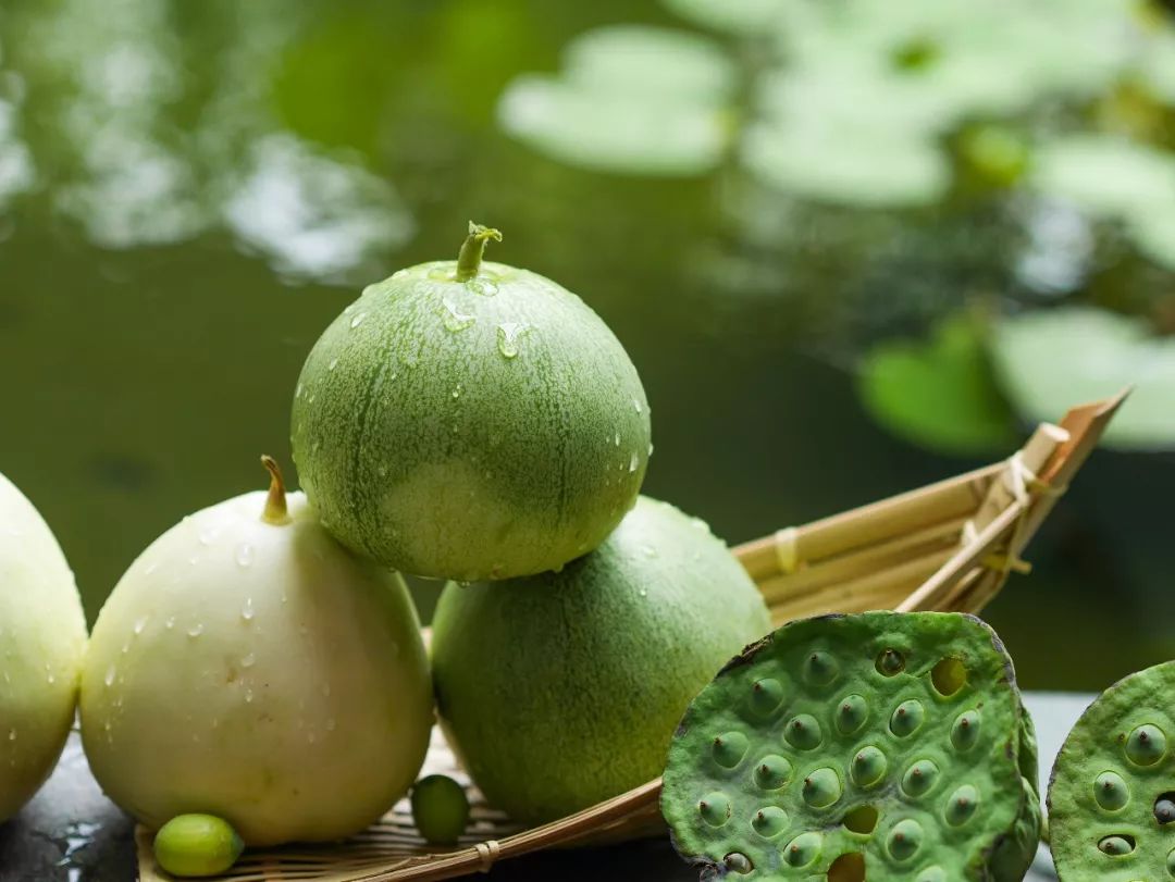 浮瓜沉李,自在清凉.浮瓜沉李何以寻得"避暑"良药?何以消暑?