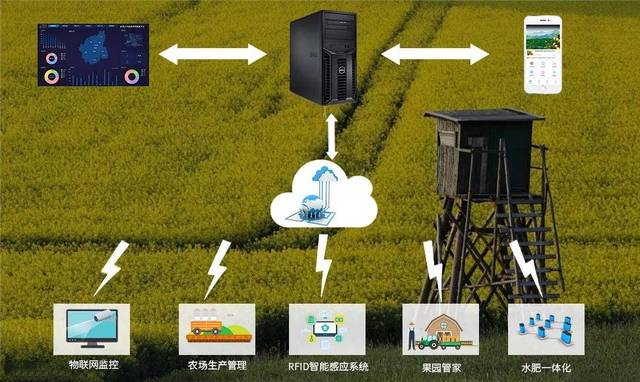 对每棵农作物嘘寒问暖农业的发展越来越离不开物联网
