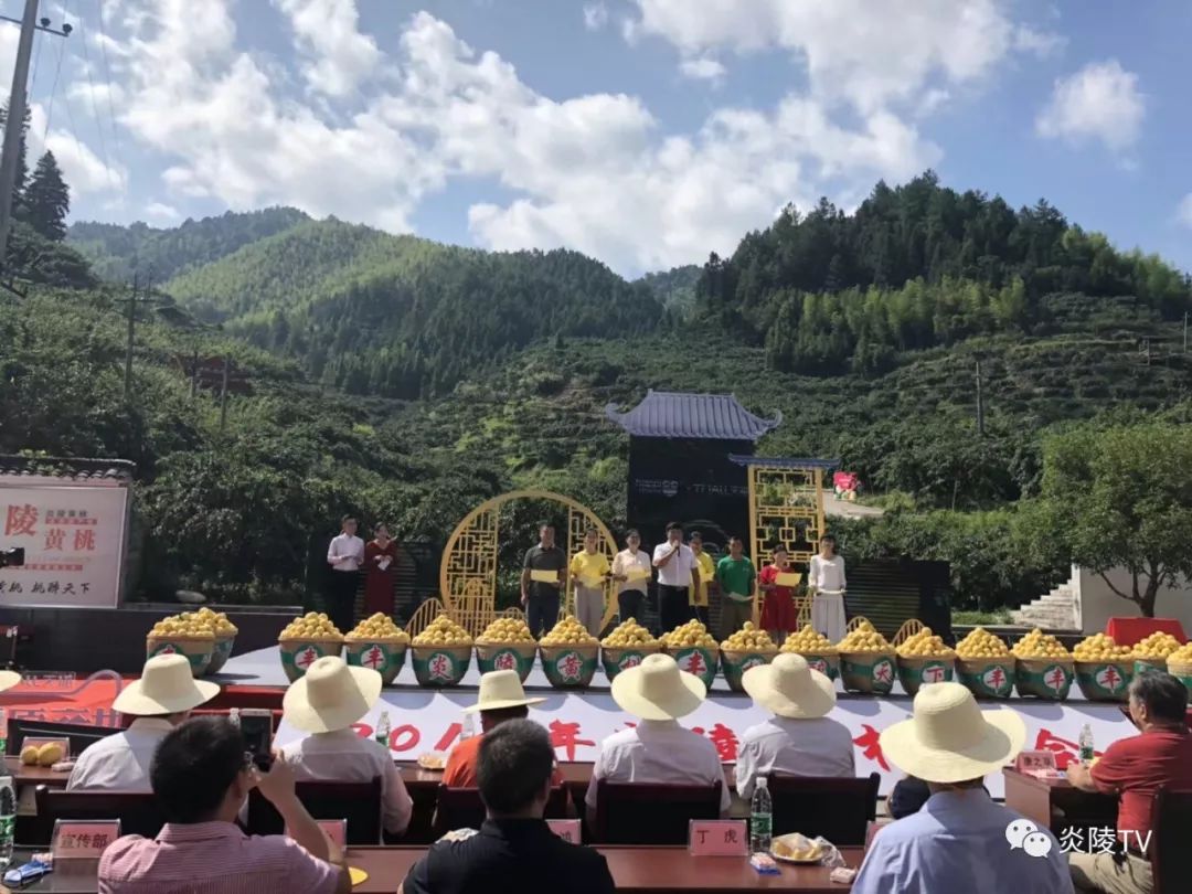 罗振新图片